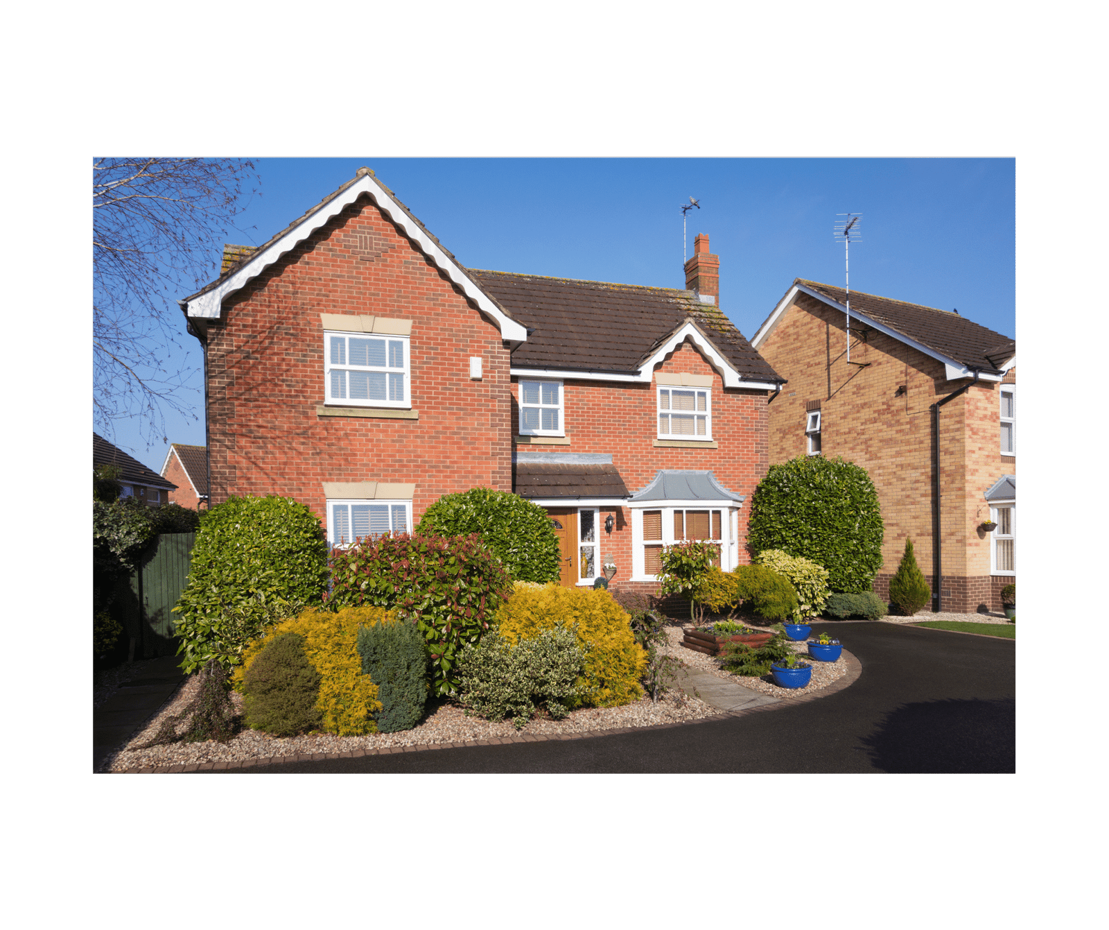 Untitled design 5 scaled